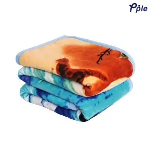 Blue Breezy Beach Soft Warm Print Mink Blanket