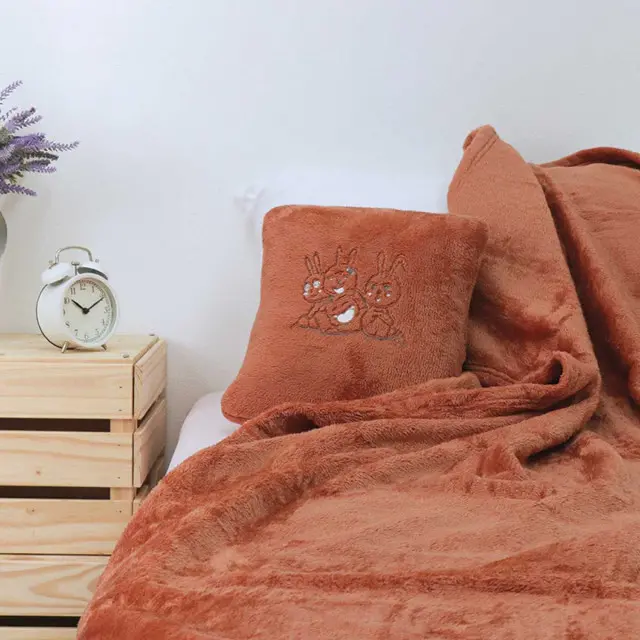 EPICO's Temote Gang Plush Polyester Pillow Blanket, Brown