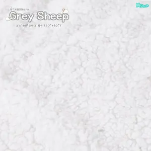 Grey Sheep
