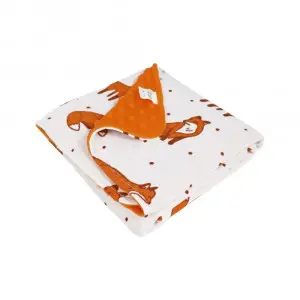 Little Fox