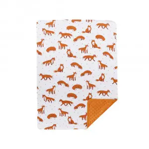 Little Fox