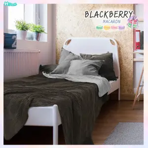 Macaron - Blackberry