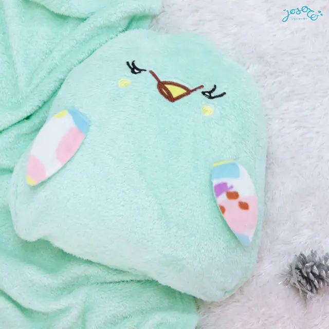 Sweet eye budgerigar cushion blanket