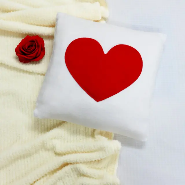 Valentine Cushion Blanket