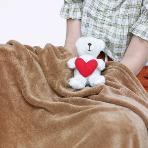 Beaver Cushion Blanket