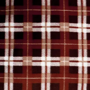 Big Scott Fox Cushion Blanket