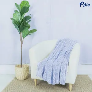 Blue Stripe Frosted Plush Throw